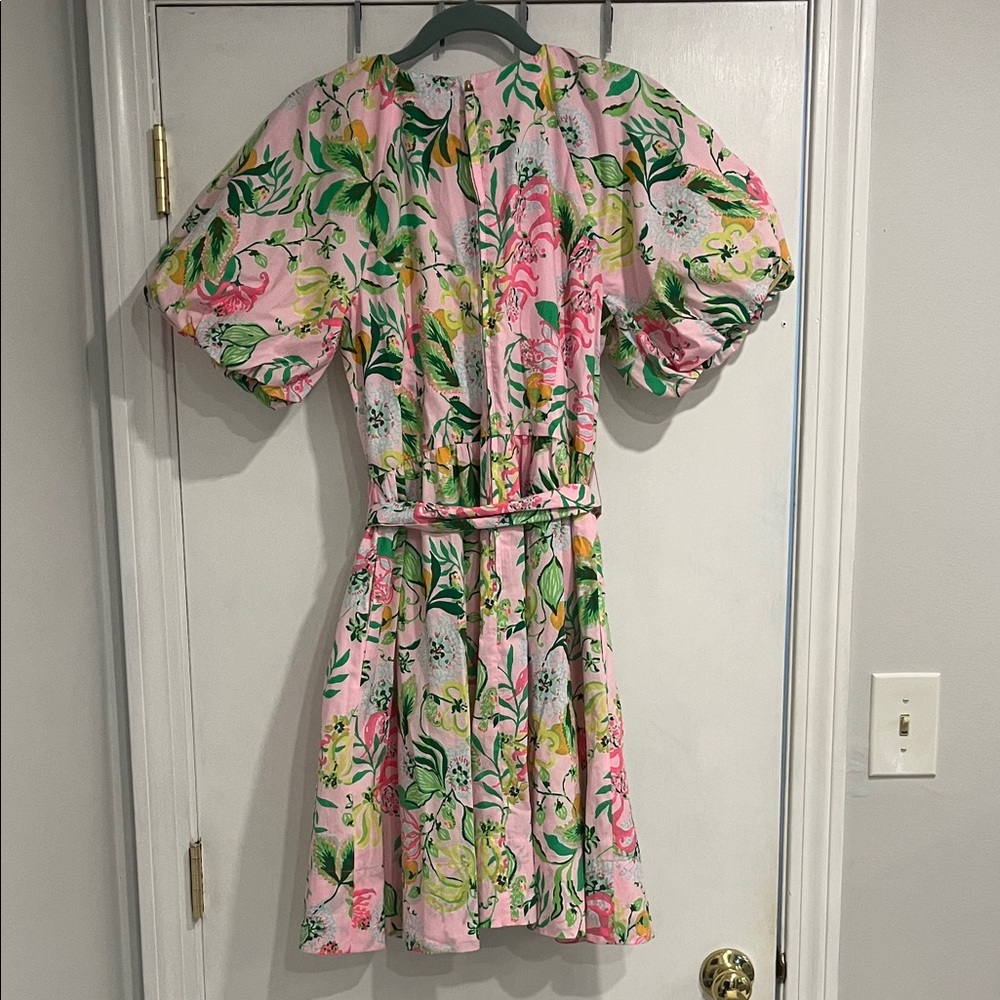 Lilly Pulitzer Knoxlie Elbow Sleeve Dress - Picture 3 of 10